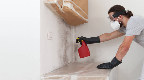 Professional Bathroom Mold Removal technician working in Greenville, VA