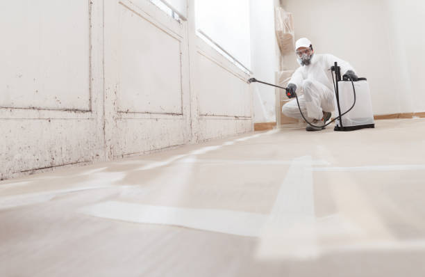 24/7 Emergency Bathroom Mold Removal experts in Greenville, VA