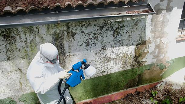 Top rated local Bathroom Mold Removal specialists in Greenville, VA
